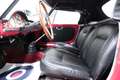 Alfa Romeo Giulietta SPIDER ASI Rot - thumbnail 20