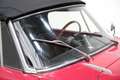 Alfa Romeo Giulietta SPIDER ASI Rot - thumbnail 40
