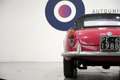 Alfa Romeo Giulietta SPIDER ASI Rot - thumbnail 42