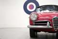 Alfa Romeo Giulietta SPIDER ASI Rot - thumbnail 33