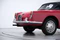Alfa Romeo Giulietta SPIDER ASI Rot - thumbnail 43