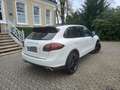 Porsche Cayenne Diesel Tiptronic S Weiß - thumbnail 2