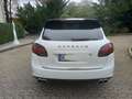 Porsche Cayenne Diesel Tiptronic S Weiß - thumbnail 5