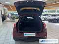 Ford Puma Vivid Ruby Edition 1.0 EcoBoost Mild Hybrid EU6d Rouge - thumbnail 10