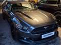 Ford Mustang Mustang 5,0 Ti-VCT V8 GT Cabrio Aut. GT Grau - thumbnail 2