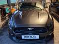 Ford Mustang Mustang 5,0 Ti-VCT V8 GT Cabrio Aut. GT Grau - thumbnail 1