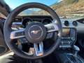 Ford Mustang Mustang 5,0 Ti-VCT V8 GT Cabrio Aut. GT Grau - thumbnail 11