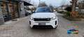Land Rover Range Rover Evoque 2.0d i4 mhev R-Dynamic SE awd 163cv auto ProMMo - thumbnail 2