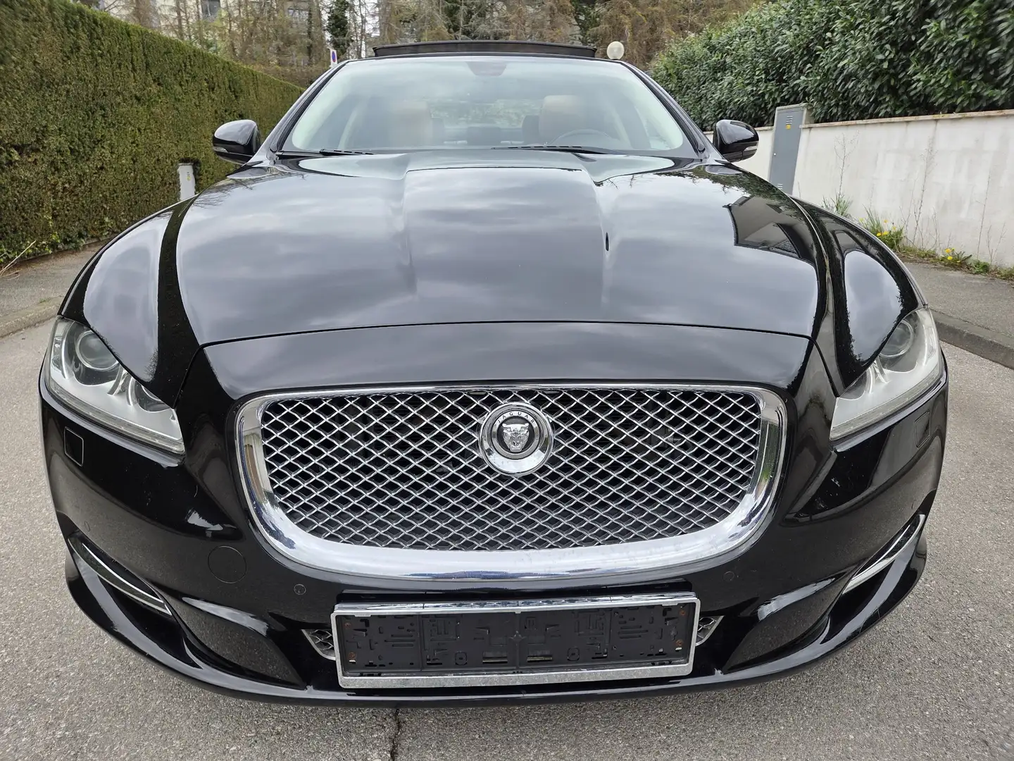 Jaguar XJ 3,0 V6 Ds. Portfolio Schwarz - 2