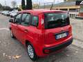 Fiat Panda 1.0 firefly hybrid  PROMO FINANZIAMENTO Rosso - thumbnail 5