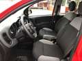 Fiat Panda 1.0 firefly hybrid  PROMO FINANZIAMENTO Rosso - thumbnail 9