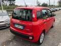 Fiat Panda 1.0 firefly hybrid  PROMO FINANZIAMENTO Rosso - thumbnail 6