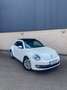Volkswagen Beetle 1.2 TSI Design 105 Blanco - thumbnail 2