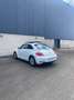 Volkswagen Beetle 1.2 TSI Design 105 Blanco - thumbnail 6