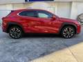 Lexus UX 250h 2.0 HYBRID 184CV KM13.800!! Rosso - thumbnail 7