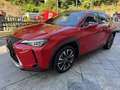 Lexus UX 250h 2.0 HYBRID 184CV KM13.800!! Rosso - thumbnail 2