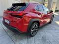 Lexus UX 250h 2.0 HYBRID 184CV KM13.800!! Rosso - thumbnail 8