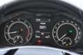 Skoda Kamiq 1.0 Ambition LED SmartLink Kamera PDC Blauw - thumbnail 23