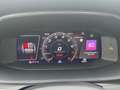 CUPRA Formentor VZ 2.0 TSI 4DRIVE DSG Rückfahrkamera Grau - thumbnail 10