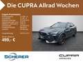 CUPRA Formentor VZ 2.0 TSI 4DRIVE DSG Rückfahrkamera Grau - thumbnail 1