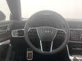 Audi A6 allroad 55 TDI quattro PA Braun - thumbnail 12