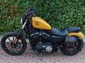 Harley-Davidson XL 883 Giallo - thumbnail 2