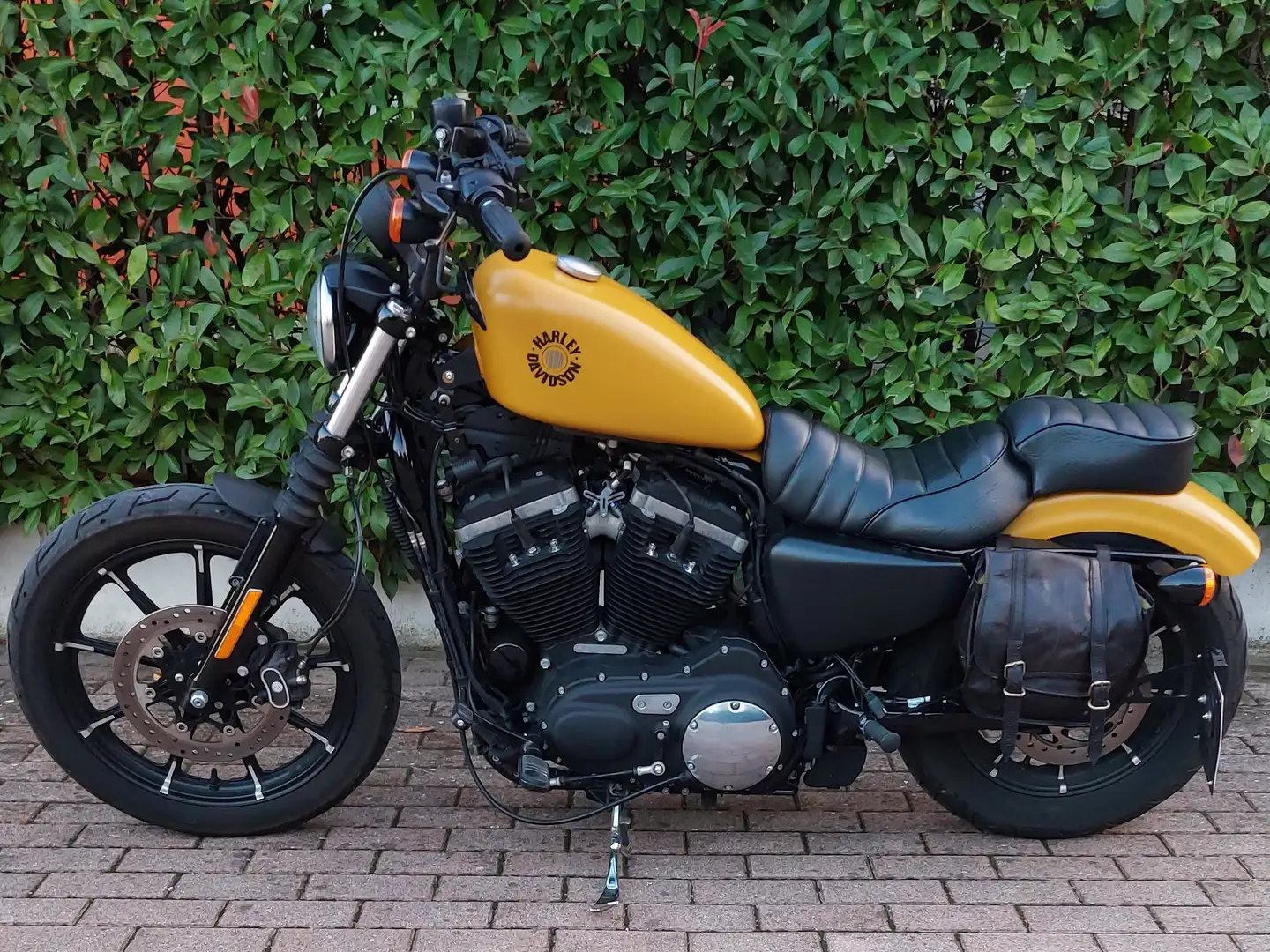 Harley-Davidson XL 883 Giallo - 2