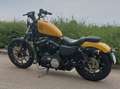 Harley-Davidson XL 883 Giallo - thumbnail 3