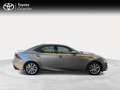 Lexus IS 300 300h Executive Grigio - thumbnail 4