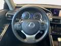 Lexus IS 300 300h Executive Grigio - thumbnail 12