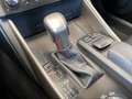 Lexus IS 300 300h Executive Grigio - thumbnail 15