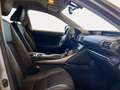 Lexus IS 300 300h Executive Grigio - thumbnail 8