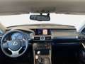 Lexus IS 300 300h Executive Grigio - thumbnail 11