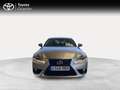 Lexus IS 300 300h Executive Grigio - thumbnail 2