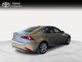 Lexus IS 300 300h Executive Grigio - thumbnail 5