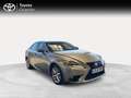 Lexus IS 300 300h Executive Grigio - thumbnail 3
