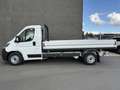 Toyota Proace MAX DROPSIDE L3H1 Active Heavy Bianco - thumbnail 3
