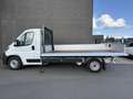 Toyota Proace MAX DROPSIDE L3H1 Active Heavy Bianco - thumbnail 8