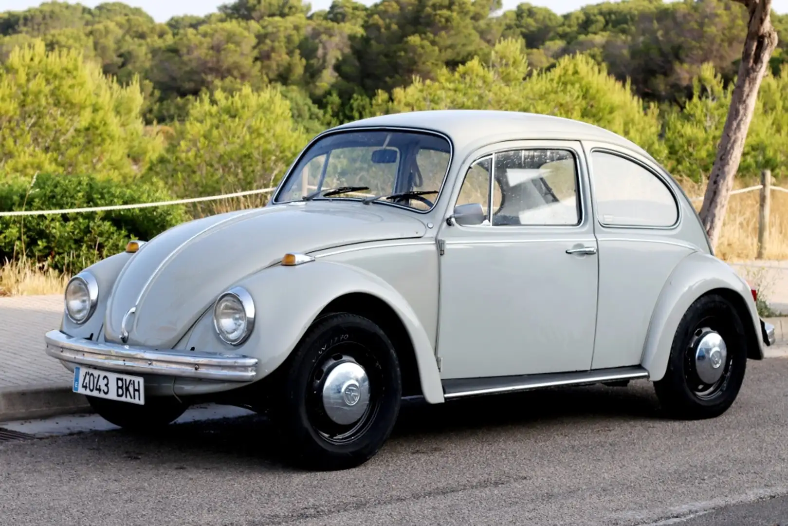 Volkswagen Escarabajo Pequeño Manual de 2 Puertas Grijs - 1
