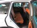 Volkswagen Touareg 3.0 V6 TDI BMT Edition X Weiß - thumbnail 18