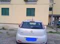 Fiat Punto Evo 5p 1.4 Dynamic easypower Gpl 77cv bijela - thumbnail 5