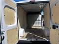 Fiat Ducato 35 2.2 Mjt 140CV PM-TM Furgone Blanc - thumbnail 8