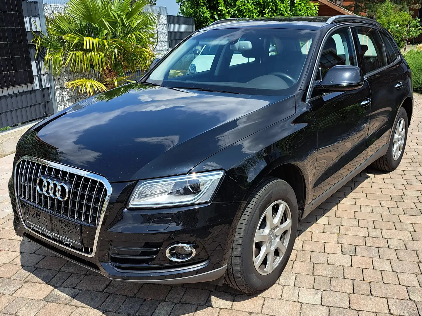 Audi Q5 Q5 2,0 TDI quattro Intense Intense Schwarz - 1