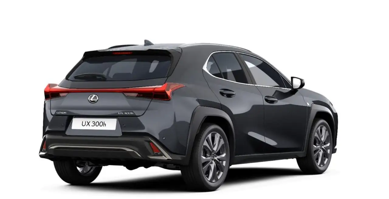 Lexus UX 300h F Sport Design ACC+LED+Navi+SHZ+LM 6