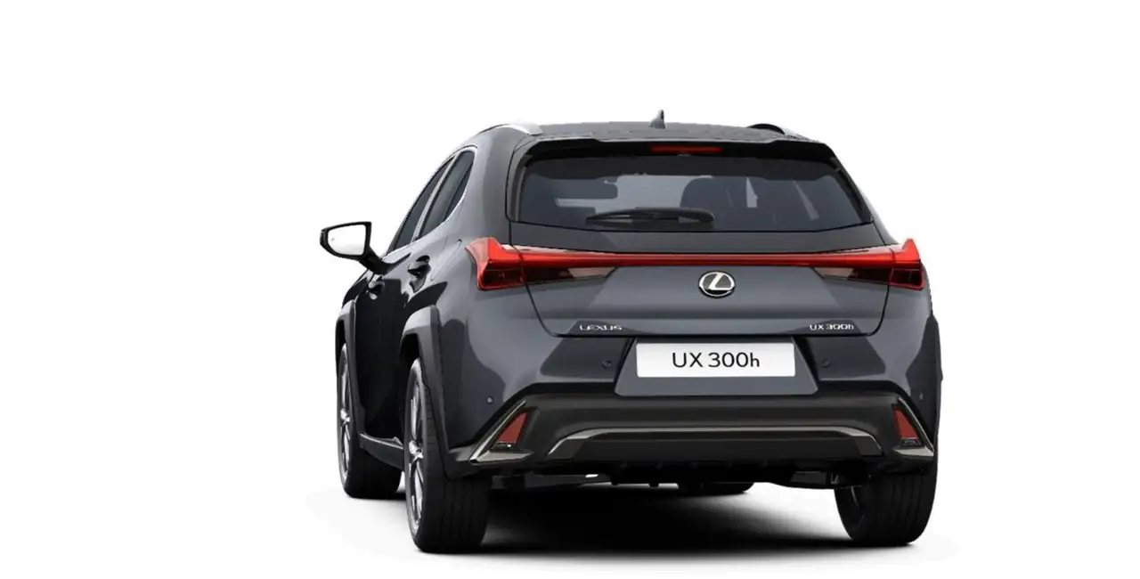 Lexus UX 300h F Sport Design ACC+LED+Navi+SHZ+LM 5