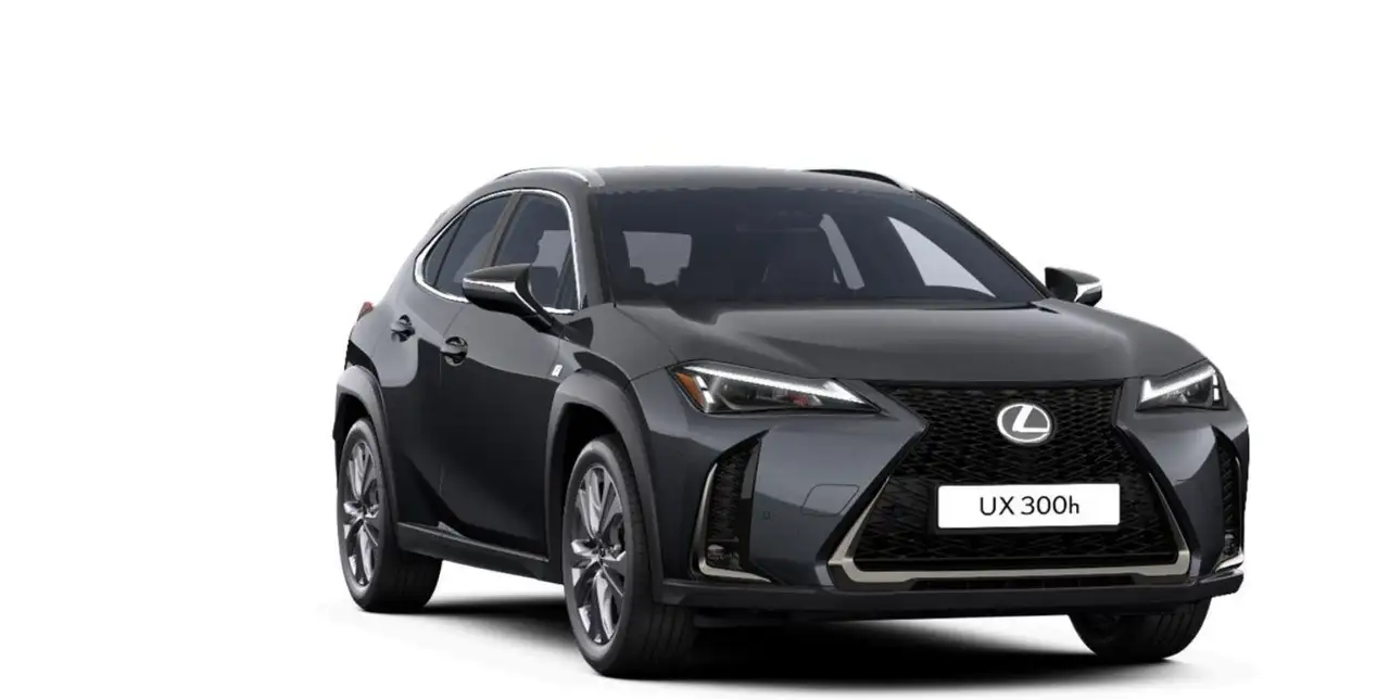 Lexus UX 300h F Sport Design ACC+LED+Navi+SHZ+LM 8