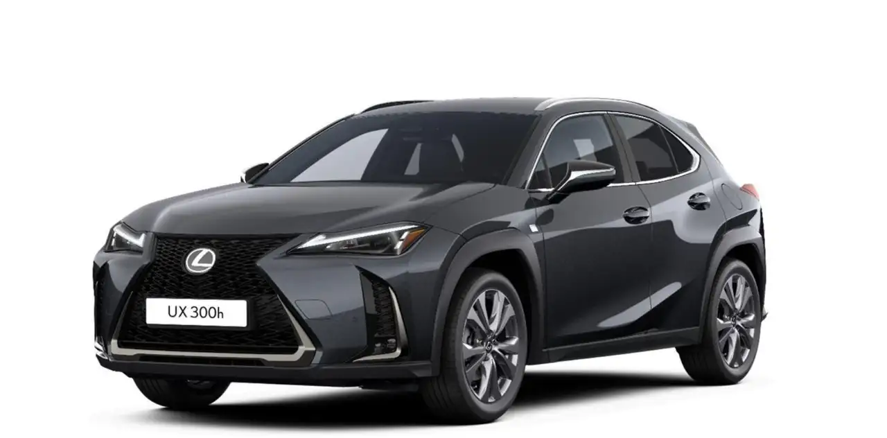 Lexus UX 300h F Sport Design ACC+LED+Navi+SHZ+LM 2