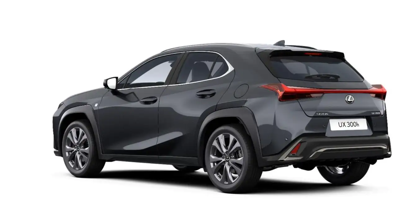 Lexus UX 300h F Sport Design ACC+LED+Navi+SHZ+LM 3