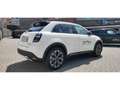 Fiat 600 La Prima Hybrid Blanc - thumbnail 6