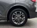 Ford Kuga 2.5 PHEV ST-LINE X Grau - thumbnail 9